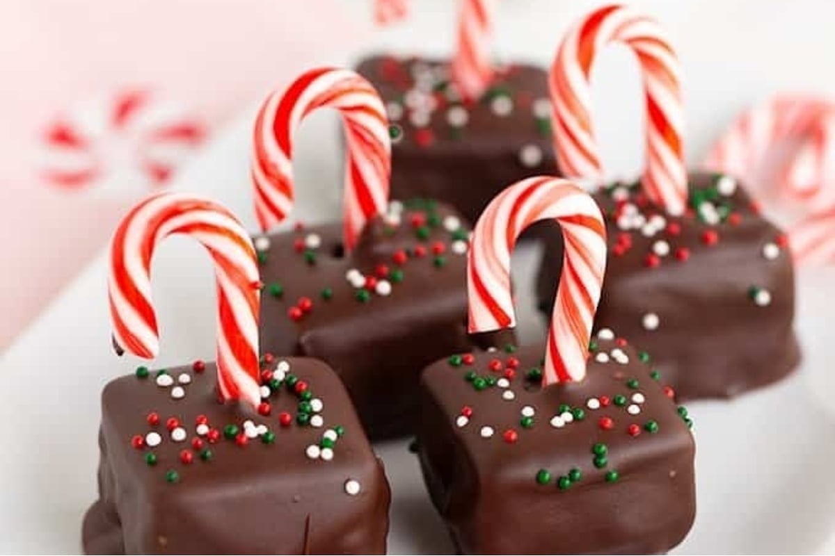 Delicious chocolate squares topped with candy canes are elegantly displayed on a plate.