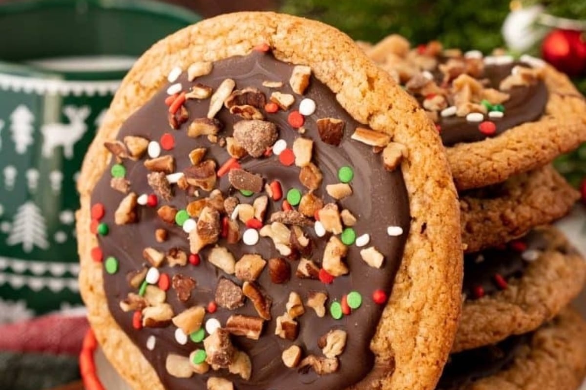A stack of delectable chocolate dipped cookies with sprinkles and nuts, perfect for your freezer.