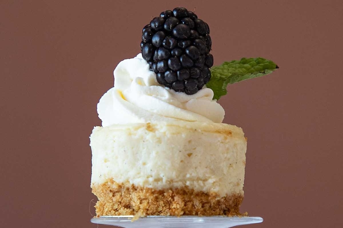A make-ahead blackberry cheesecake with whipped cream and blackberries perfect for holiday gatherings.