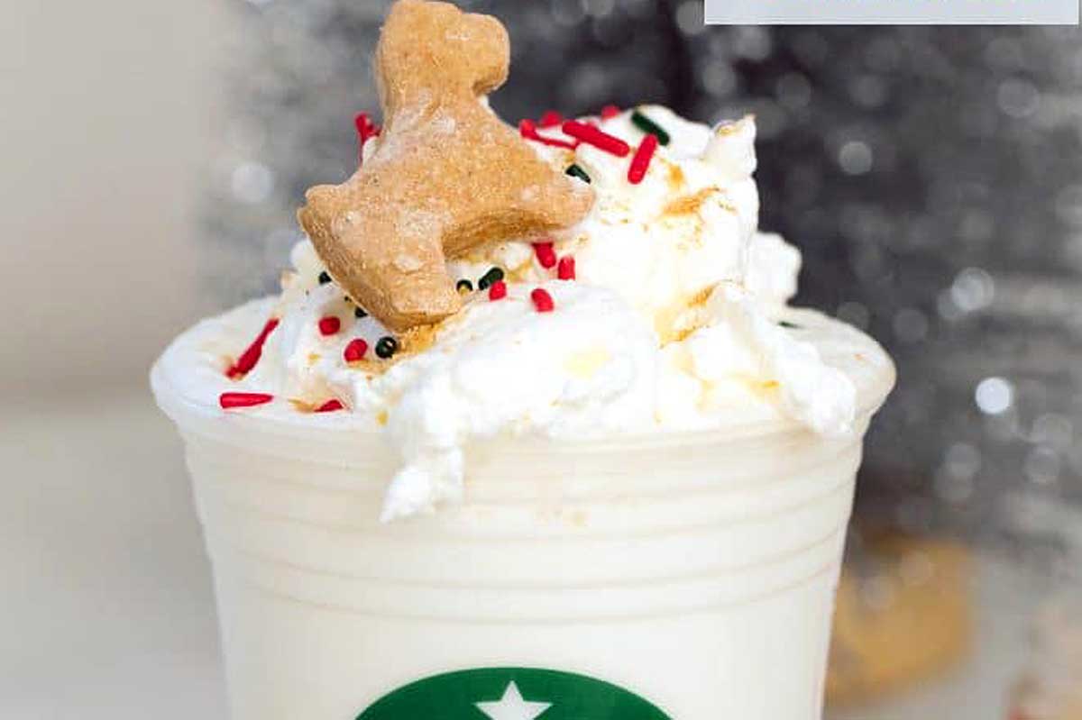 A Starbucks holiday latte with a dog on top.