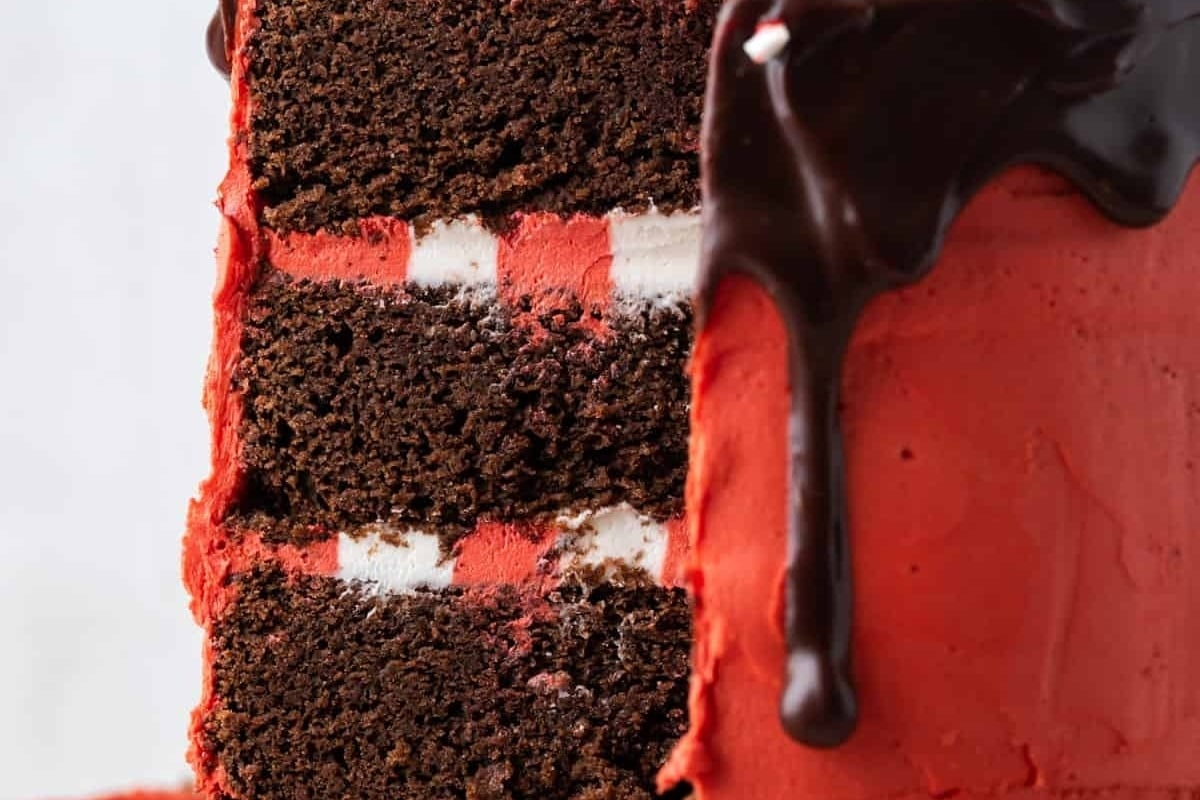 A slice of a red and white cake with chocolate icing, perfect for peppermint lovers.