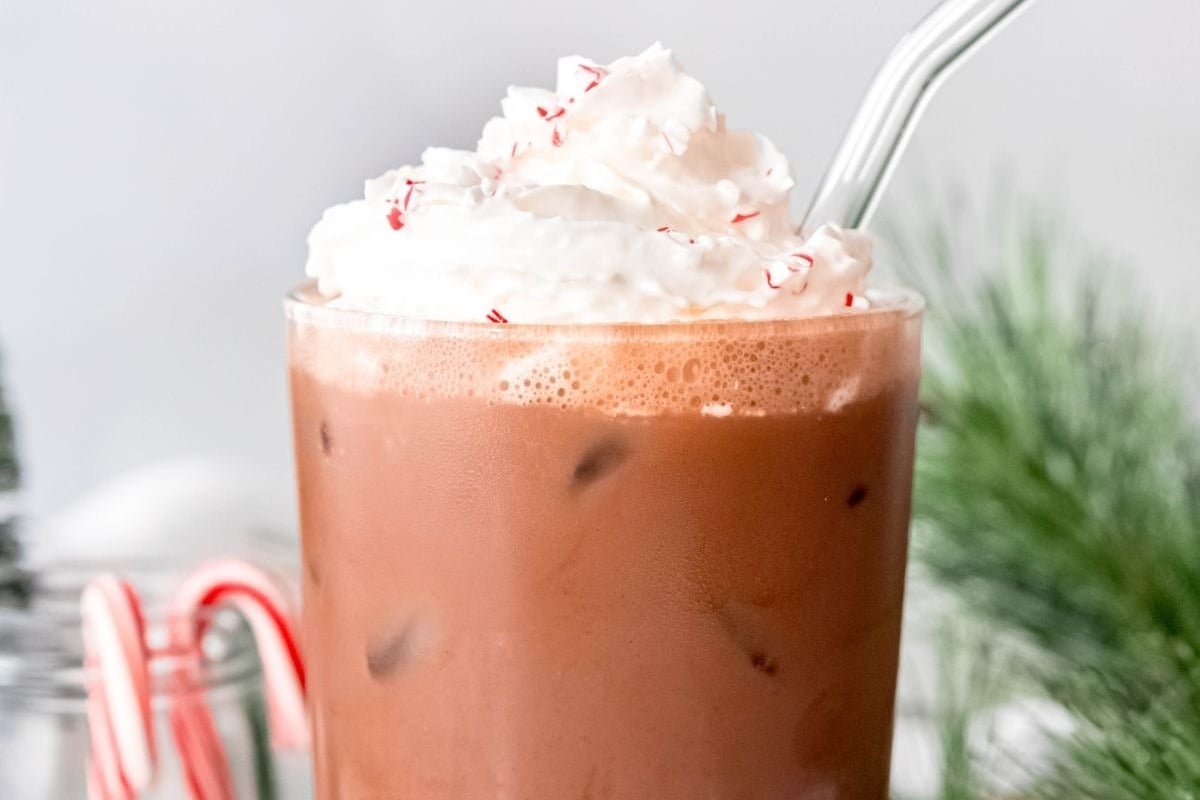 A cup of hot chocolate with peppermint.