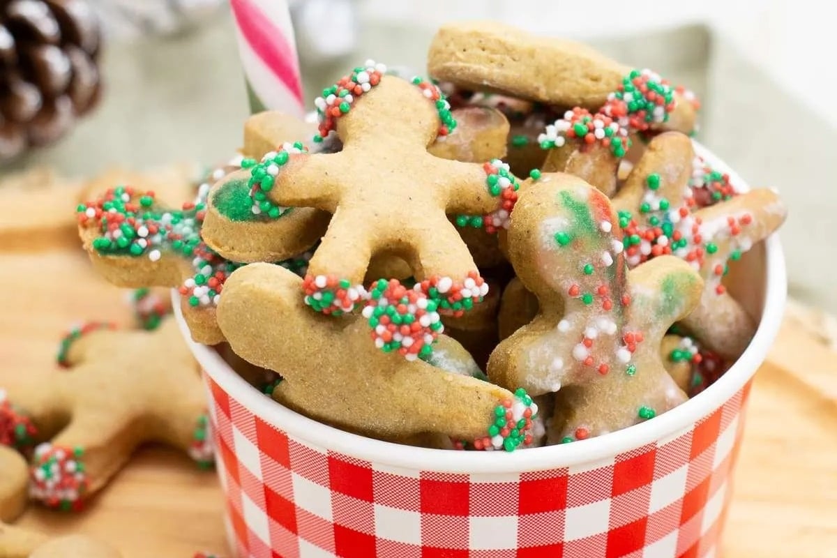 Freezable gingerbread cookies in a red and white checkered cup.