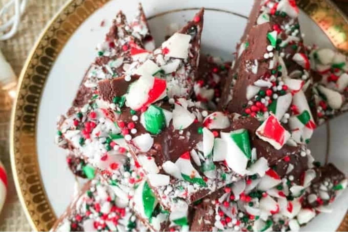 A plate of chocolate bark with candy canes elegantly decorating it.