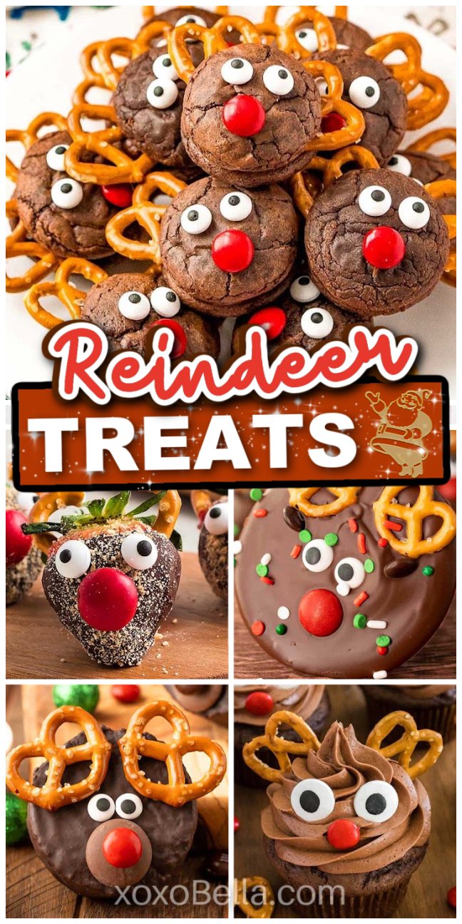 Assorted reindeer treats made from brownies, cookies, pretzels, and candies are on display for the holidays.