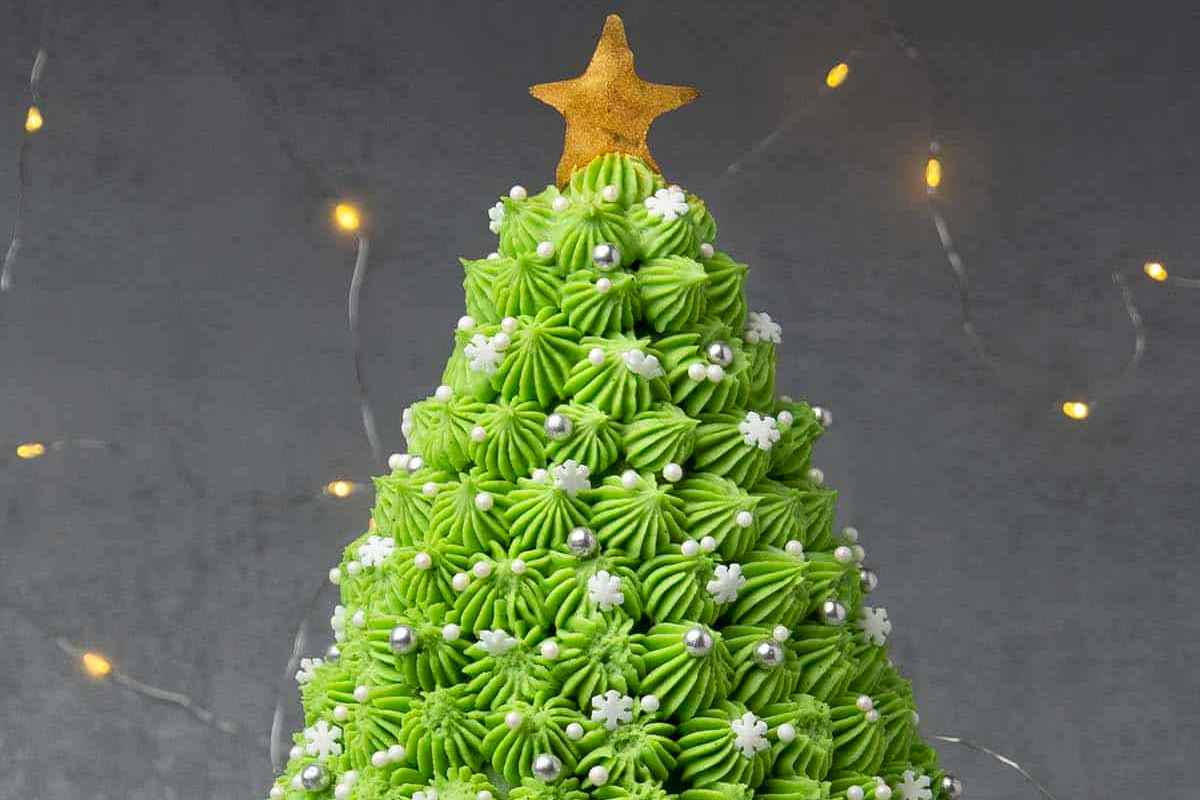 A green christmas tree cake with a star on top.