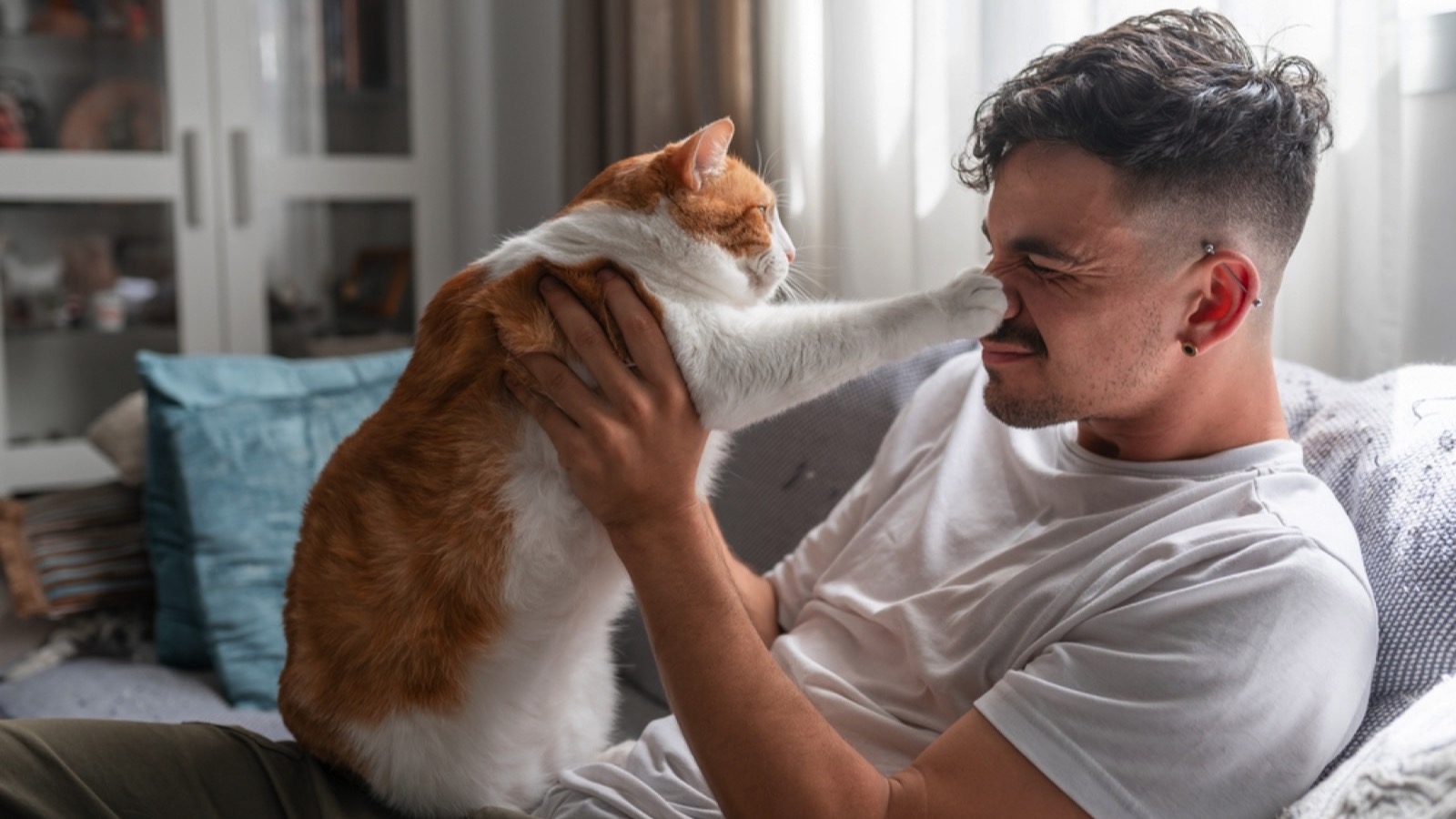 Cat aggresive behaviour