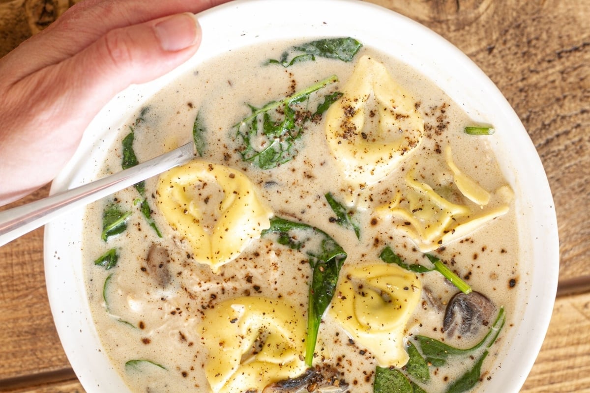 A person holding a bowl of chicken soup with tortellini.