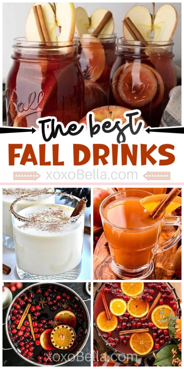 Mason jars and mugs with apple slices, cinnamon sticks, and cozy fall drinks, topped with fruit and spices.