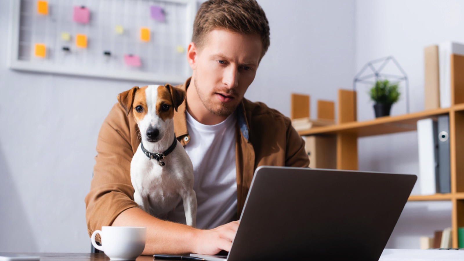 Dog on lap of working man