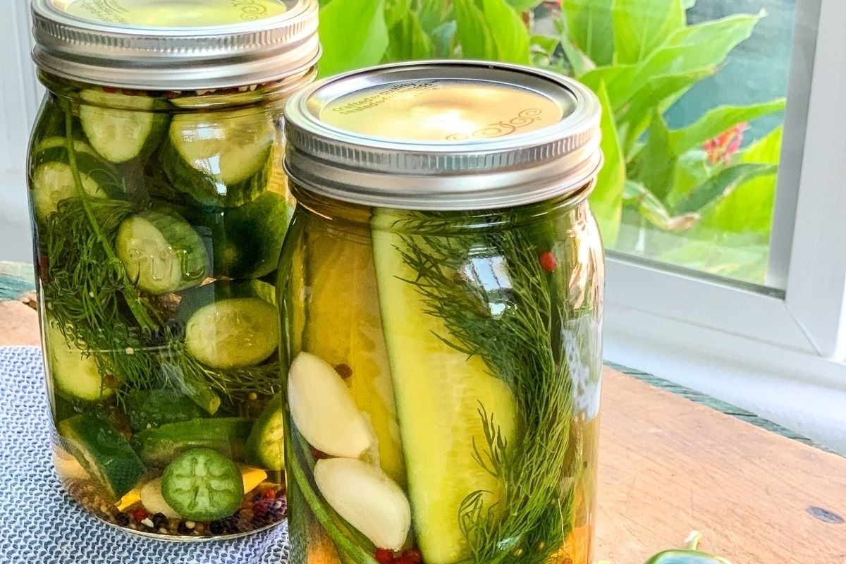 27 Pickle Recipes for True Pickle Lovers xoxoBella