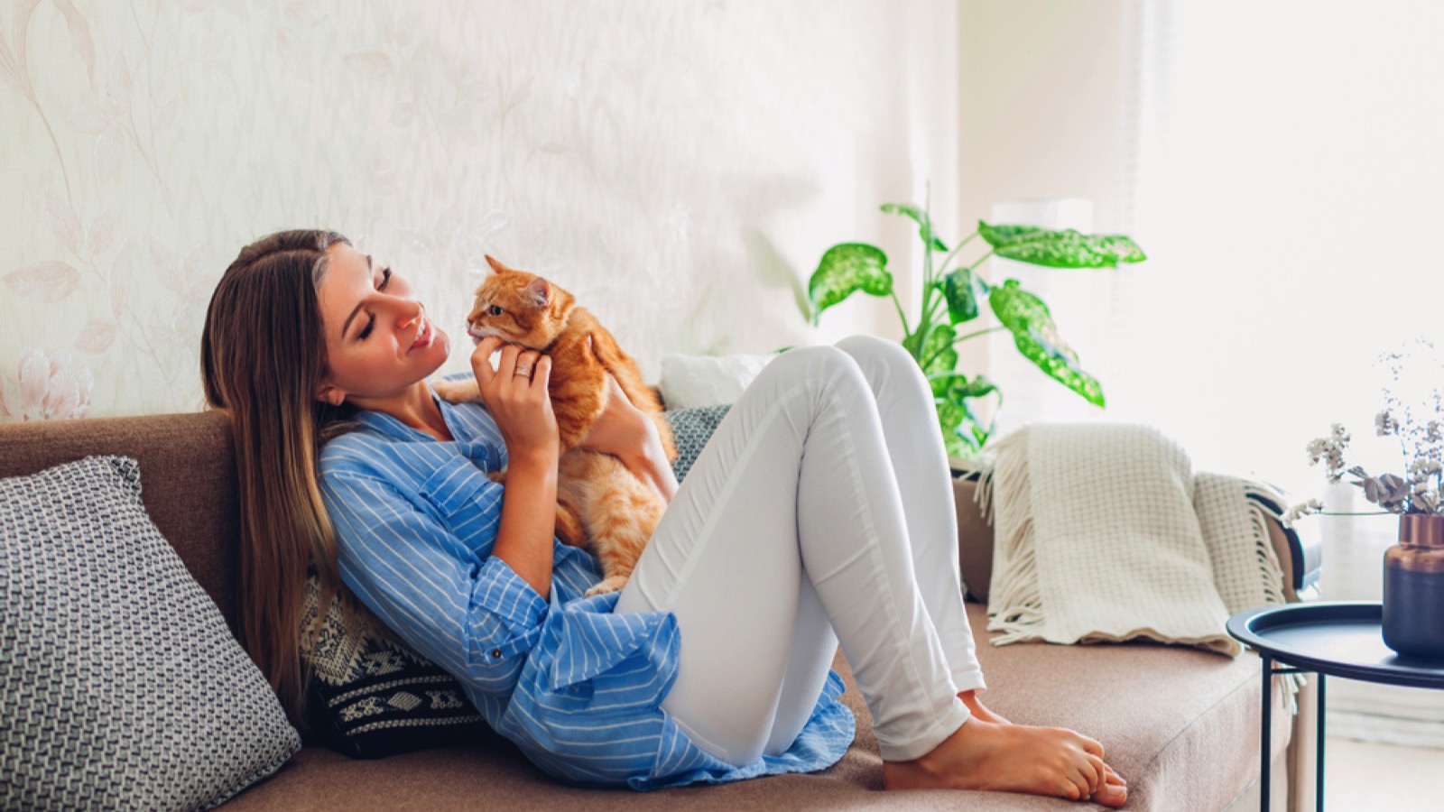 Woman holding cat and petting