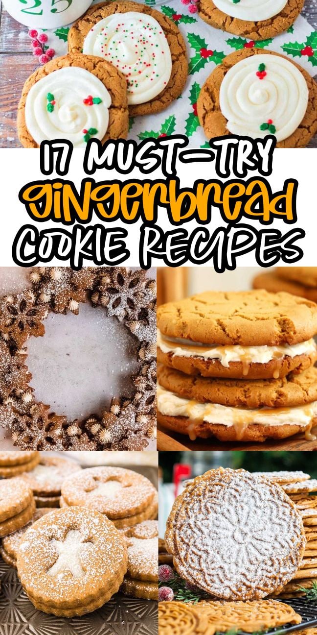 Assorted gingerbread cookies, some frosted or dusted with powdered sugar.