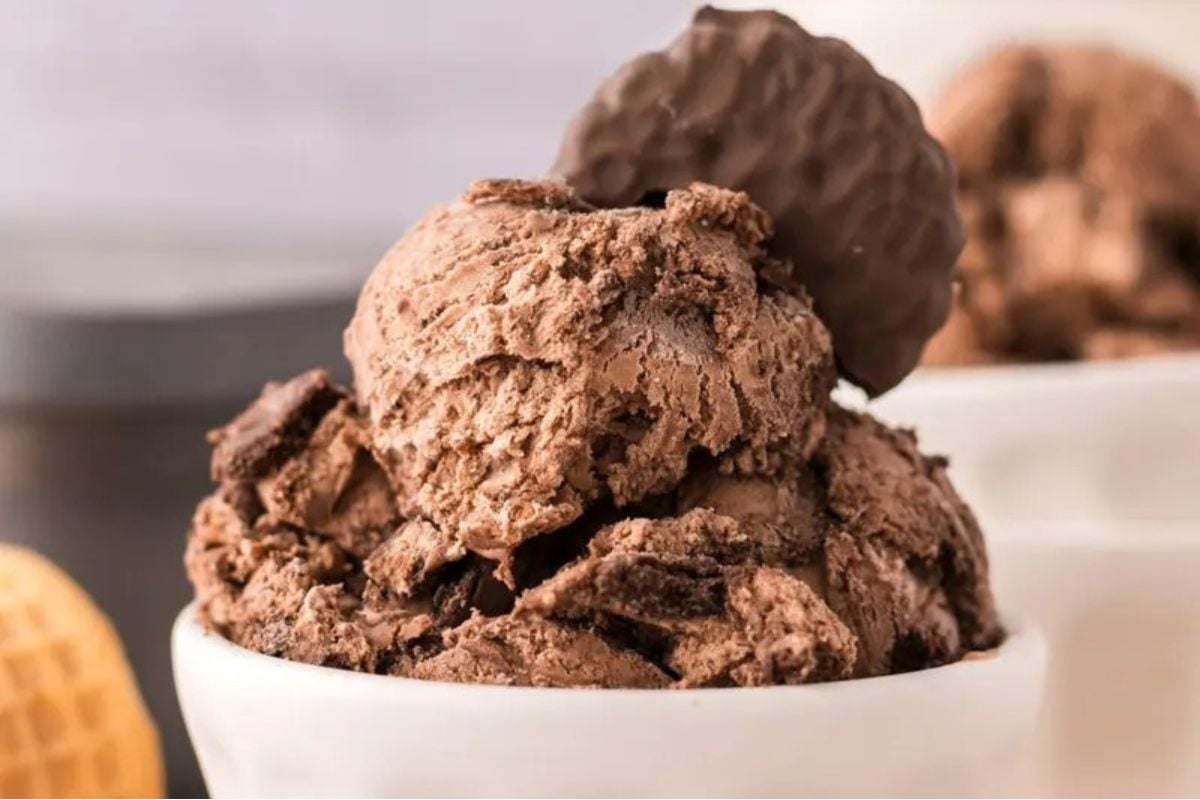 A bowl of chocolate ice cream with a cookie on top, a minty twist.