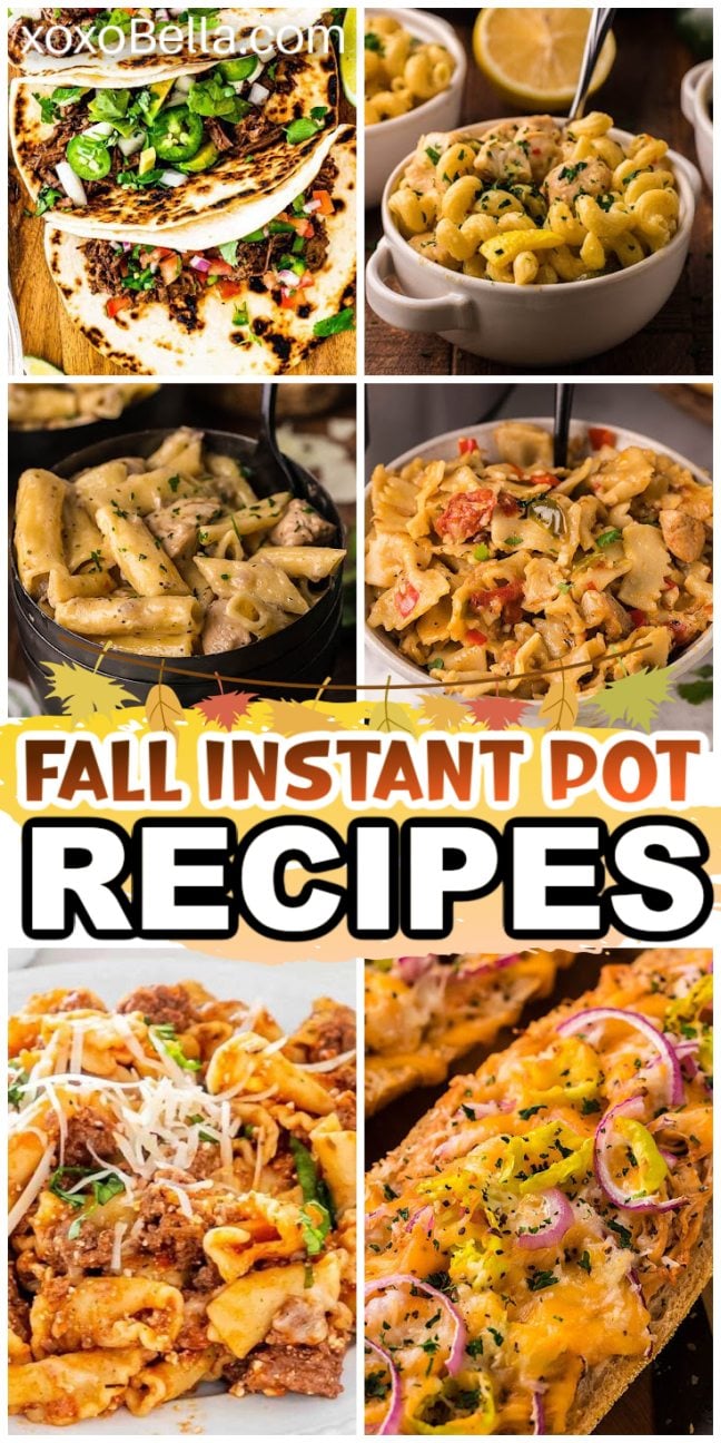 Various fall Instant Pot recipes displayed in colorful bowls and plates showing cozy stews pastas and seasonal vegetables.