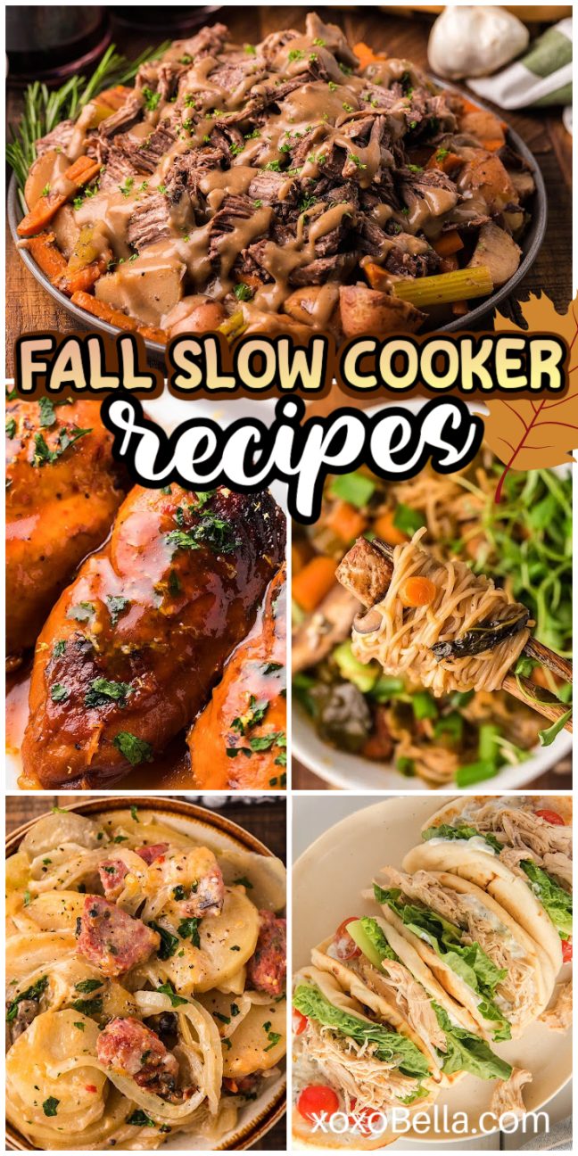 Various fall slow cooker recipes pictured with soups, stews, and hearty mains served in rustic bowls and crocks.