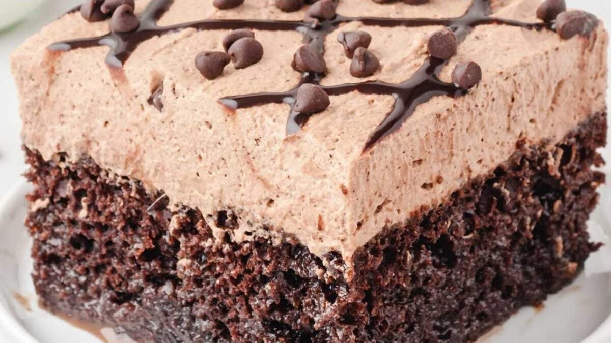 A slice of chocolate cake topped with chocolate chip mousse and drizzled with chocolate syrup.