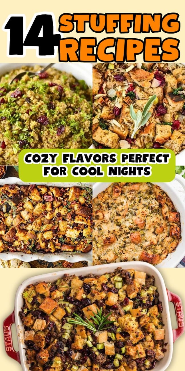 Collage of five different stuffing dishes. Discover new favorite stuffing recipes to warm up your table!.