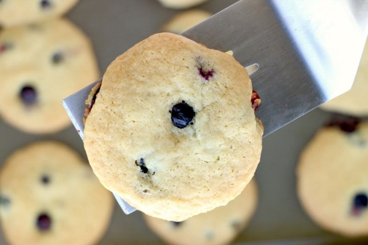 A spatula lifting a blueberry cookie from a tray, perfect for your cookie recipes collection.