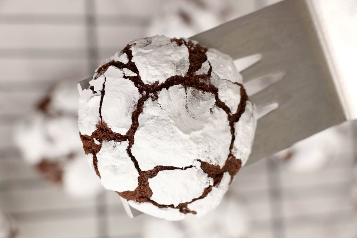 A chocolate crinkle cookie recipe dusted with powdered sugar on a fork with a blurred background.