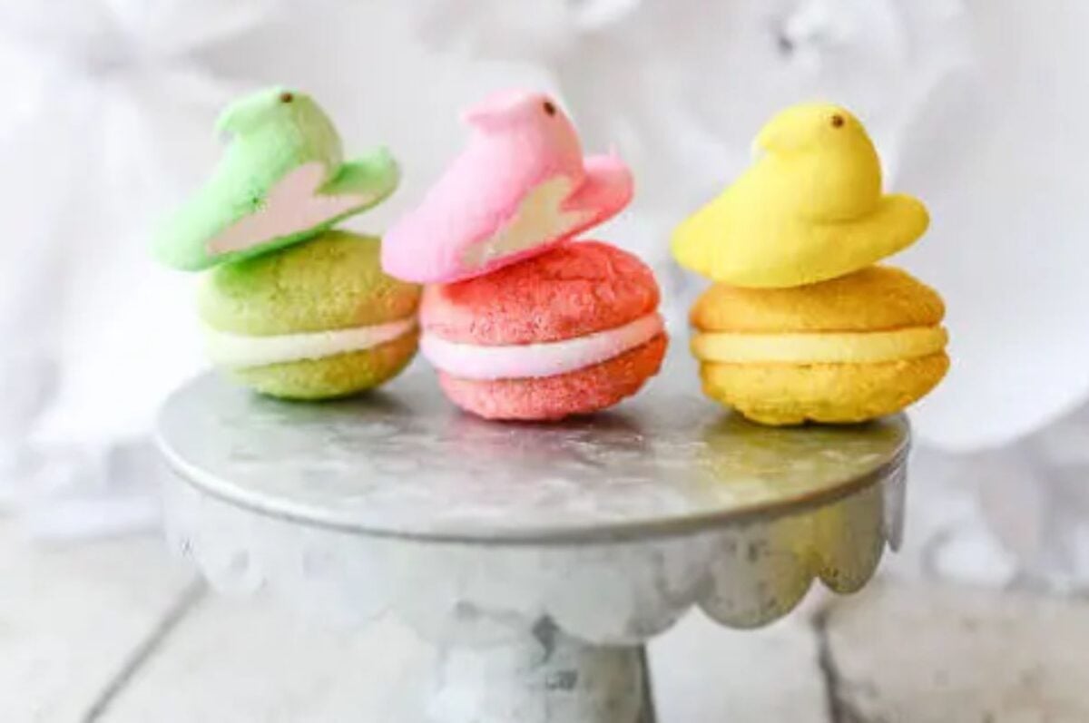 Three colorful Easter macarons topped with pastel marshmallow chicks.