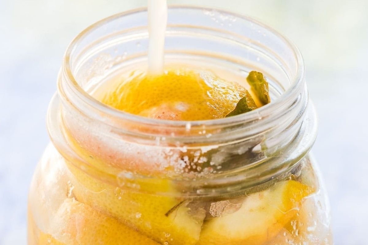 Pouring milk into a jar containing a whole citrus fruit for pickled recipes.