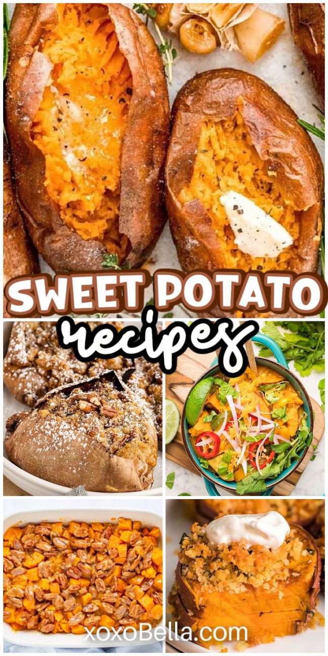 Collage of sweet potato recipes, featuring baked, stuffed, mashed, and dessert dishes.