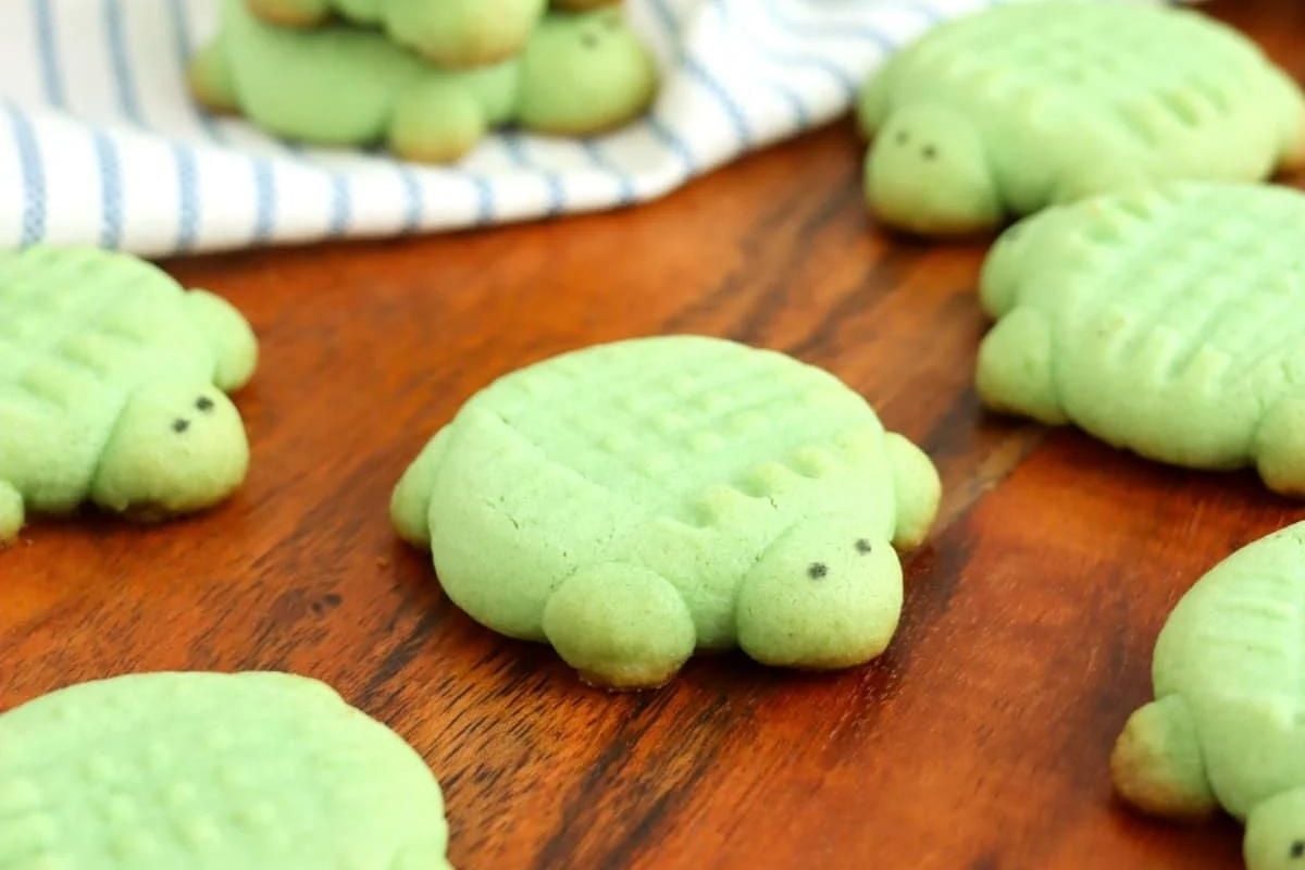 Green turtle-shaped cookie recipes on a wooden surface.
