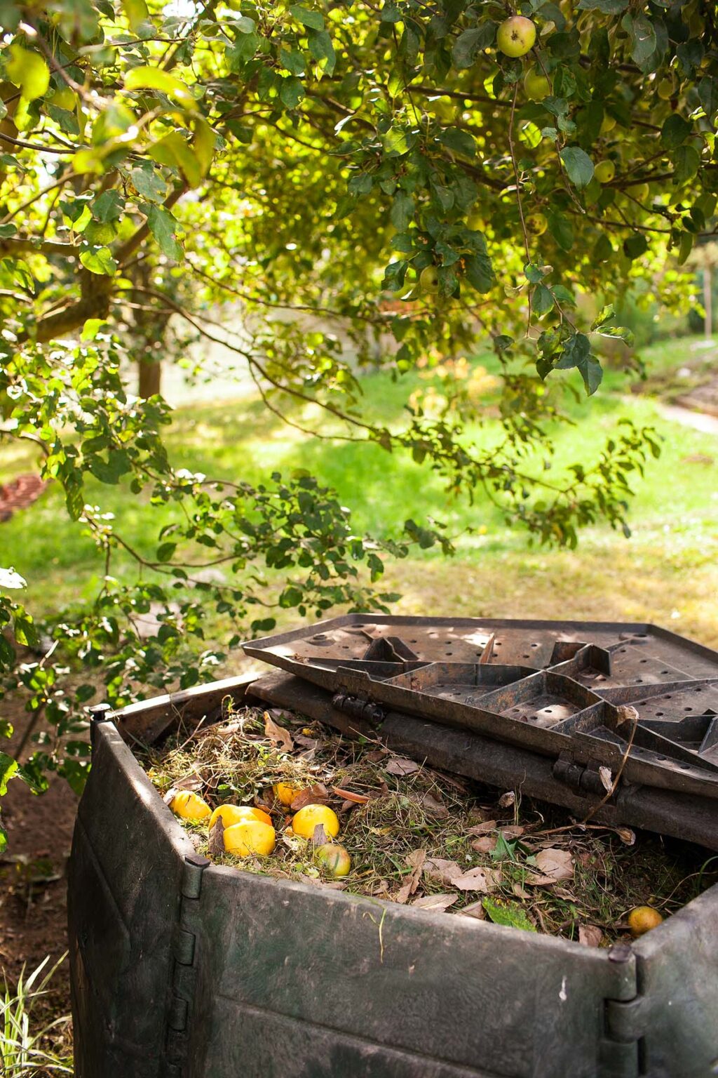 Composting 101 A Comprehensive Guide to How to Start Composting
