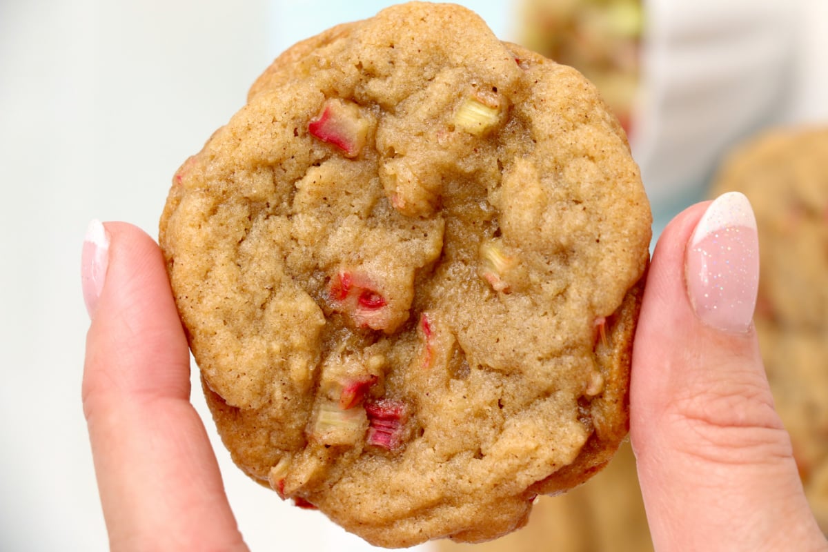 A close-up of a hand holding a rhubarb cookie from our rhubarb recipes collection.