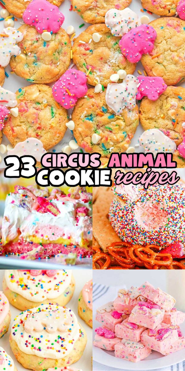 Colorful circus animal cookies and treats, topped with sprinkles and icing