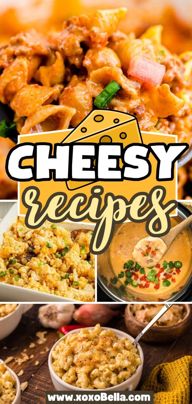 A collage of cheesy dishes, including pasta and soups, highlights a flavorful collection perfect for anyone who loves cheesy recipes.