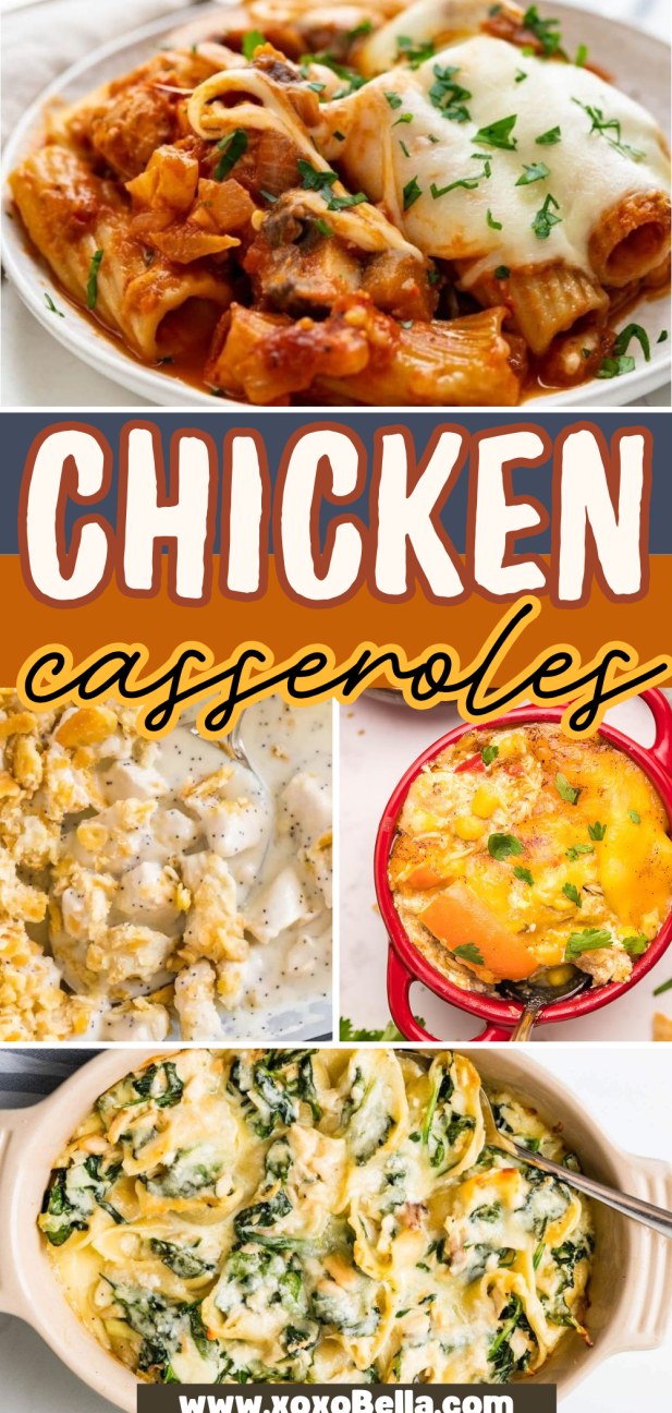 Collage of four cheesy chicken casseroles, topped with herbs—perfect inspiration for your next cozy dinner.
