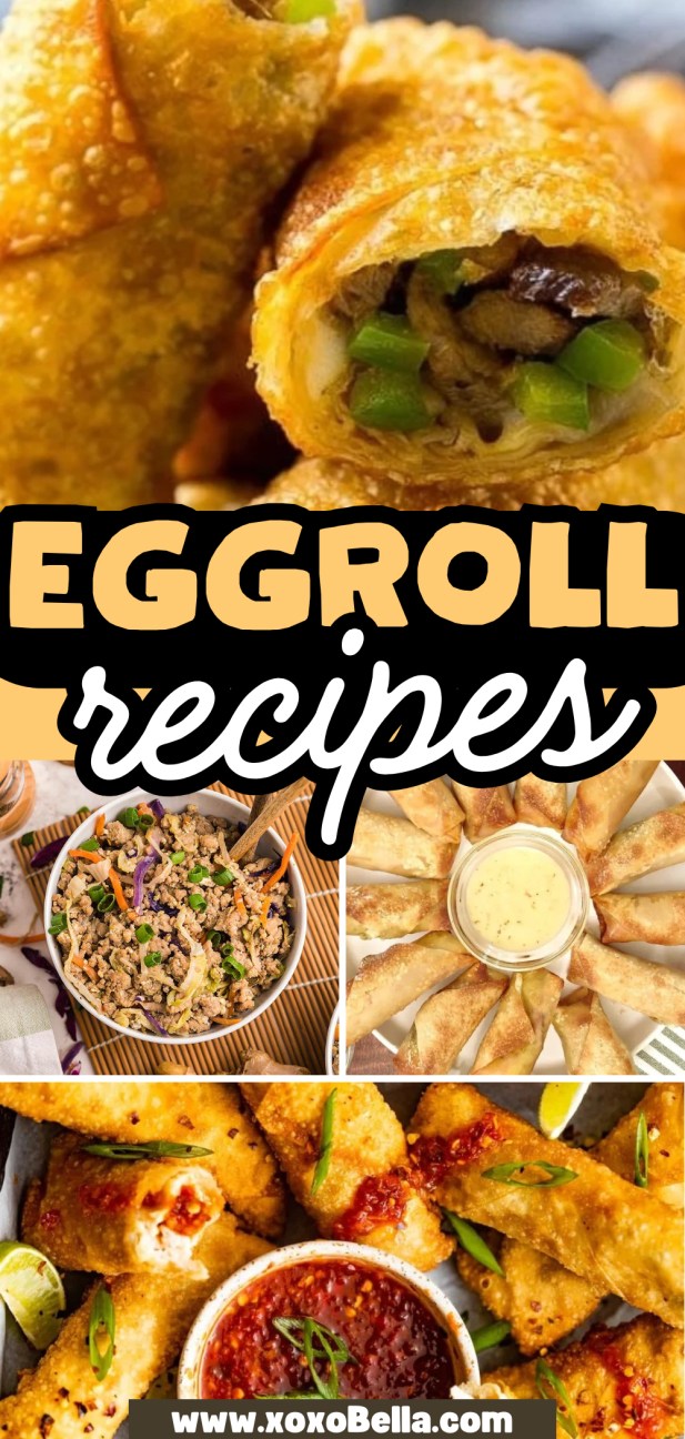 Collage of crispy egg rolls, fried rice, dipping sauce—perfect inspiration for your next eggroll recipes adventure.