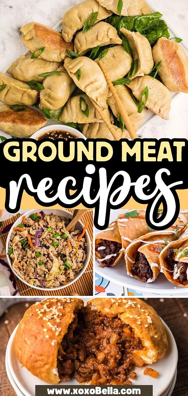 Collage of various ground meat recipes, featuring dumplings, bowls, stuffed bread, and savory meat-filled pastries.
