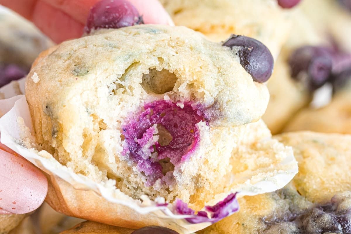 A close-up of a hand holding a blueberry muffin from our Blueberry Recipes collection, with a bite taken out of it, revealing the blueberries inside.