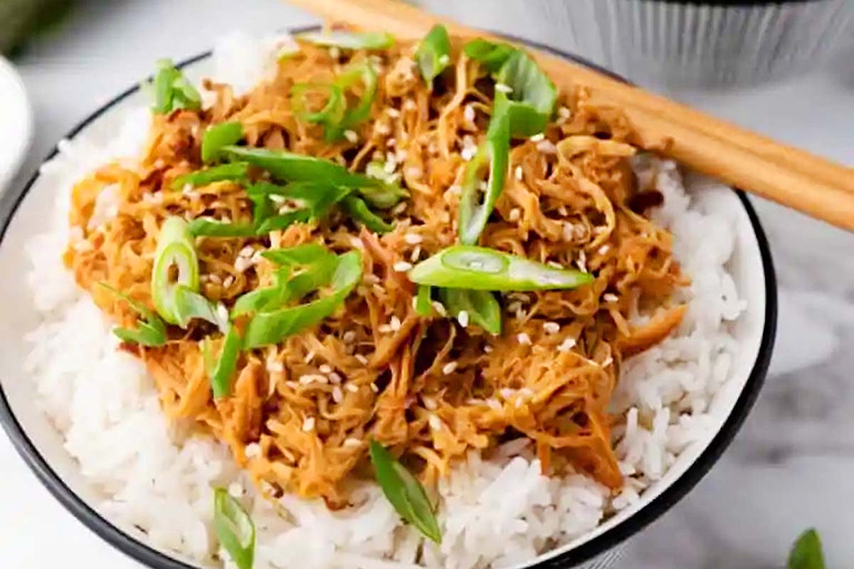 Slow Cooker Honey Garlic Chicken.