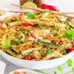 A bowl of colorful Chinese chicken salad with shredded chicken, sliced vegetables, and garnished with cilantro, toasted almonds, and chopsticks resting on the rim.