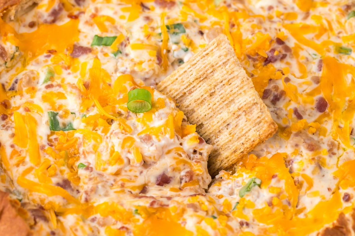 Closeup of a cracker dipped in cheese bacon dip.
