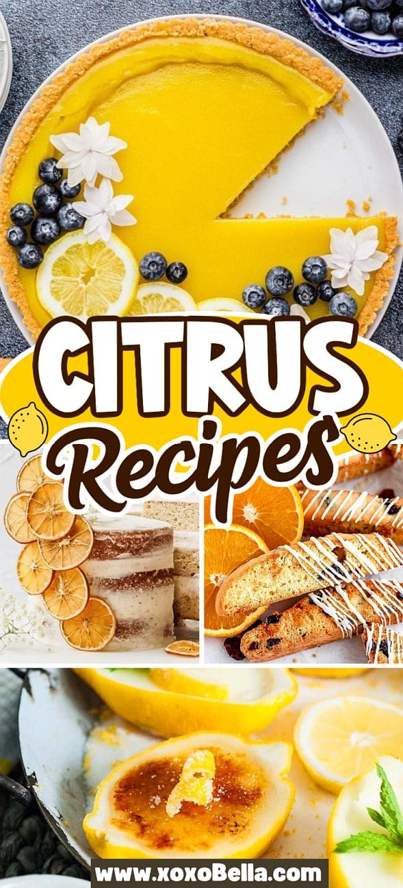 Collage of citrus desserts featuring lemon tart, dried citrus cake, orange biscotti, and lemon crème brûlée—perfect for those who love creative citrus recipes.