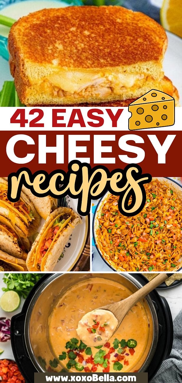Collage of cheesy dishes: grilled cheese, tacos, pasta, and cheese dip—your go-to guide for delicious cheesy recipes everyone will love.