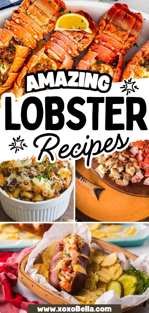 A collage of mouthwatering lobster dishes, showcasing irresistible lobster recipes to try at home.
