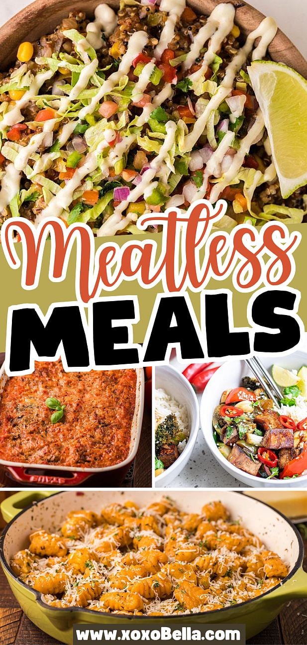 A collage of vibrant meatless meals, featuring fresh salads, hearty casseroles, and tasty pasta dishes.