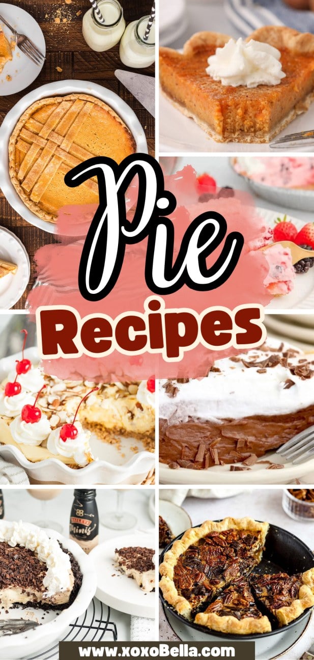 A vibrant collage of chocolate, pecan, and fruit pies highlights delicious Pie Recipes.