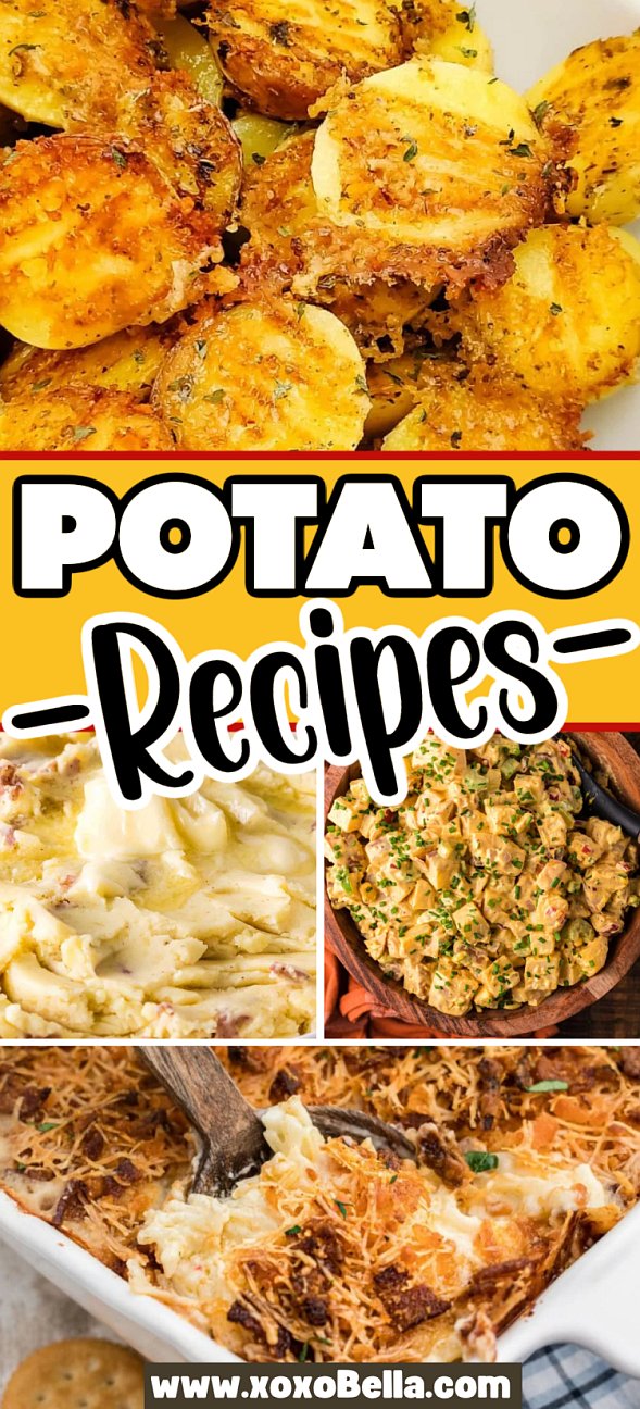 A collage of four different potato recipes, including roasted, mashed, salad, and baked cheesy potatoes.