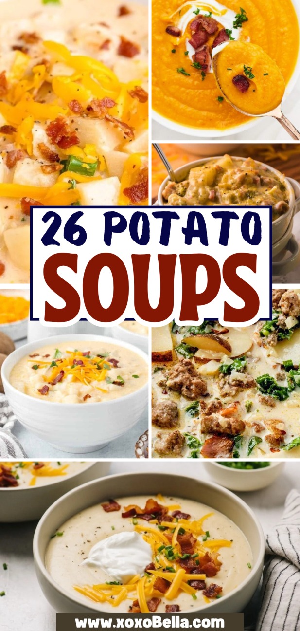 A collage of various creamy potato soups, topped with cheese, bacon, and herbs, for cozy comfort.