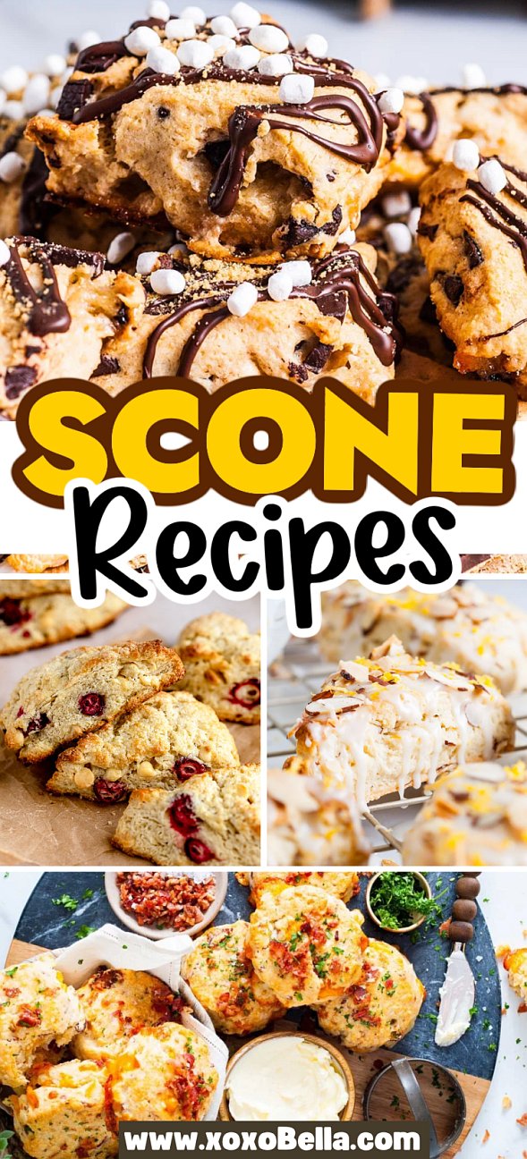 A collage of assorted scones, including chocolate, cranberry, glazed, and savory varieties highlights delicious scone recipes.