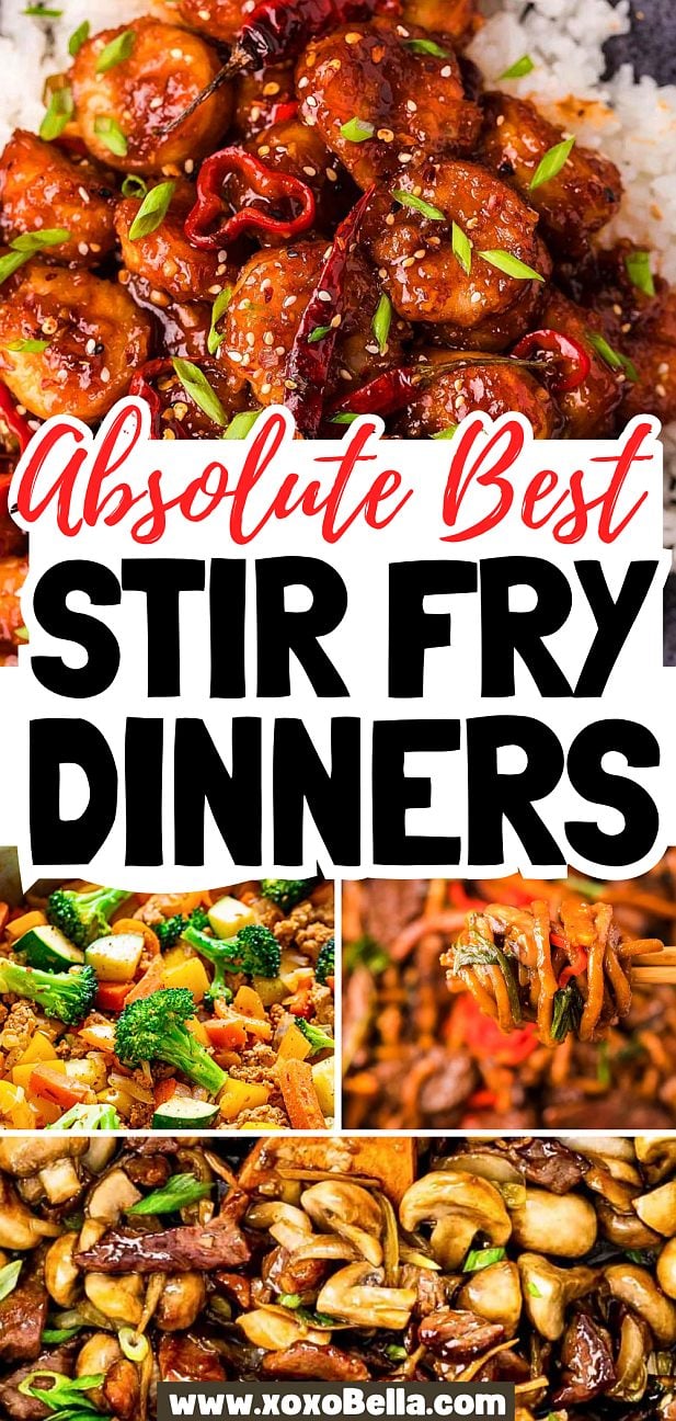Collage of colorful stir fry dishes with vegetables, meat, and rice, showcasing mouthwatering stir fry recipes.