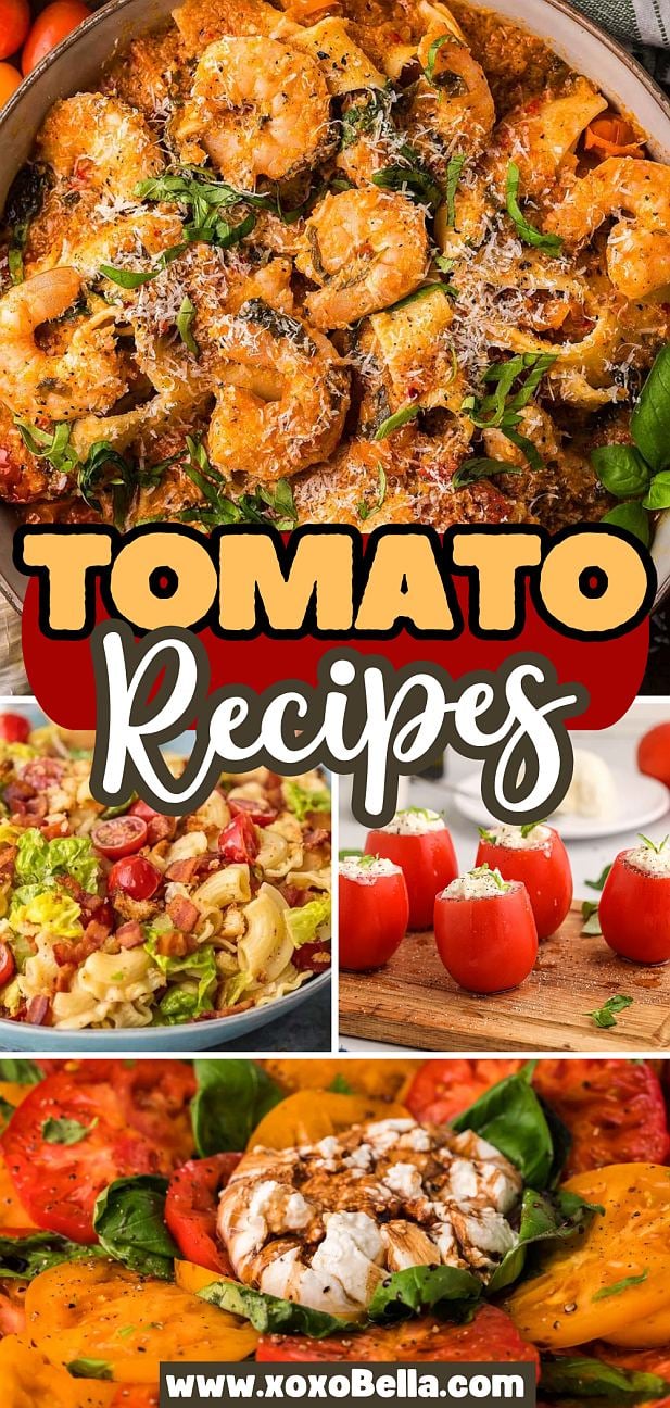 Collage of tomato recipes, featuring shrimp pasta, stuffed tomatoes, pasta salad, and caprese with burrata.