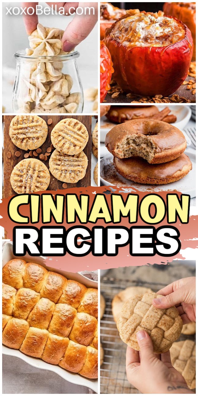 Collage of six cinnamon desserts, including cookies, an apple, bread rolls, and donuts - a delicious showcase of cinnamon recipes for every sweet craving.